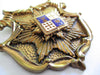 Vintage Pin, Heraldic Renaissance Revival Shield