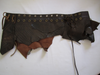 Brown Belt Lizard