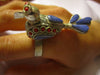 Middle Eastern Ring Bird